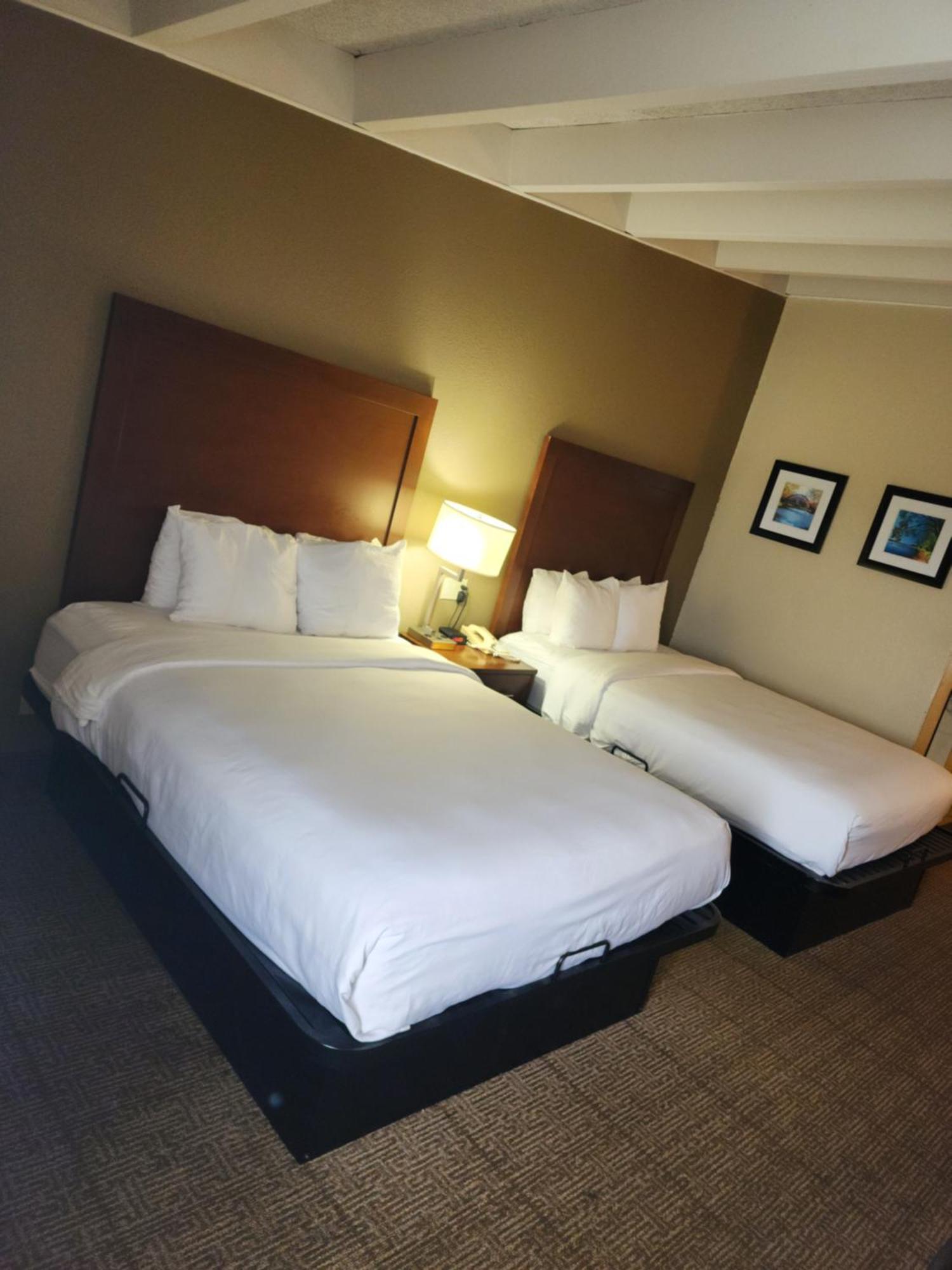 Comfort Inn & Suites Madison - Airport Exteriör bild
