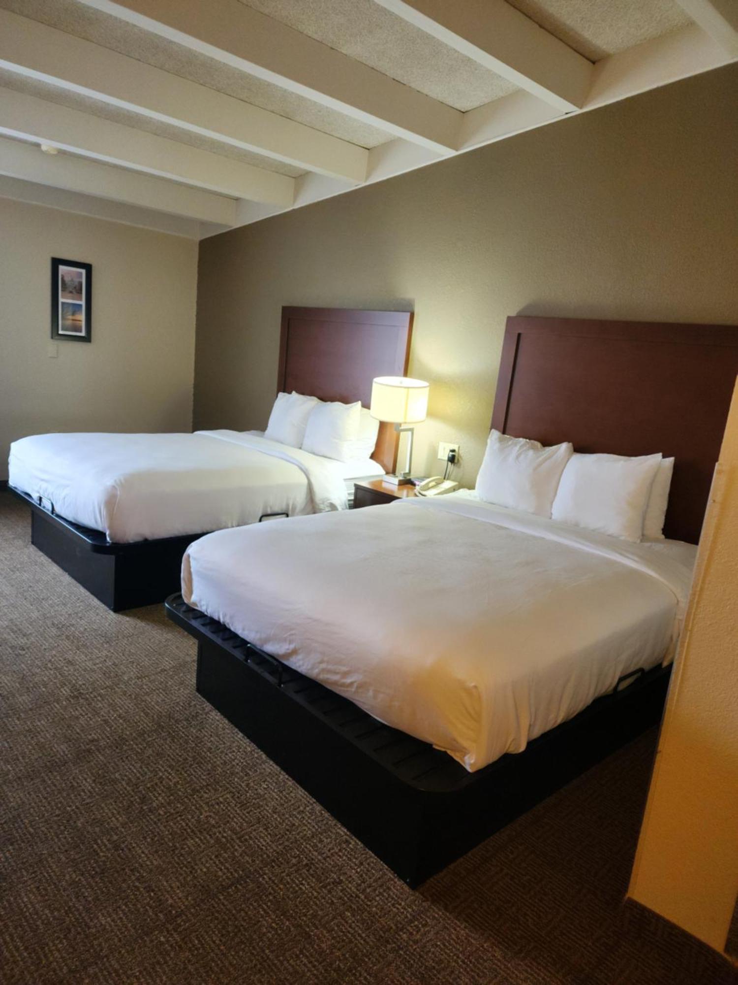Comfort Inn & Suites Madison - Airport Exteriör bild