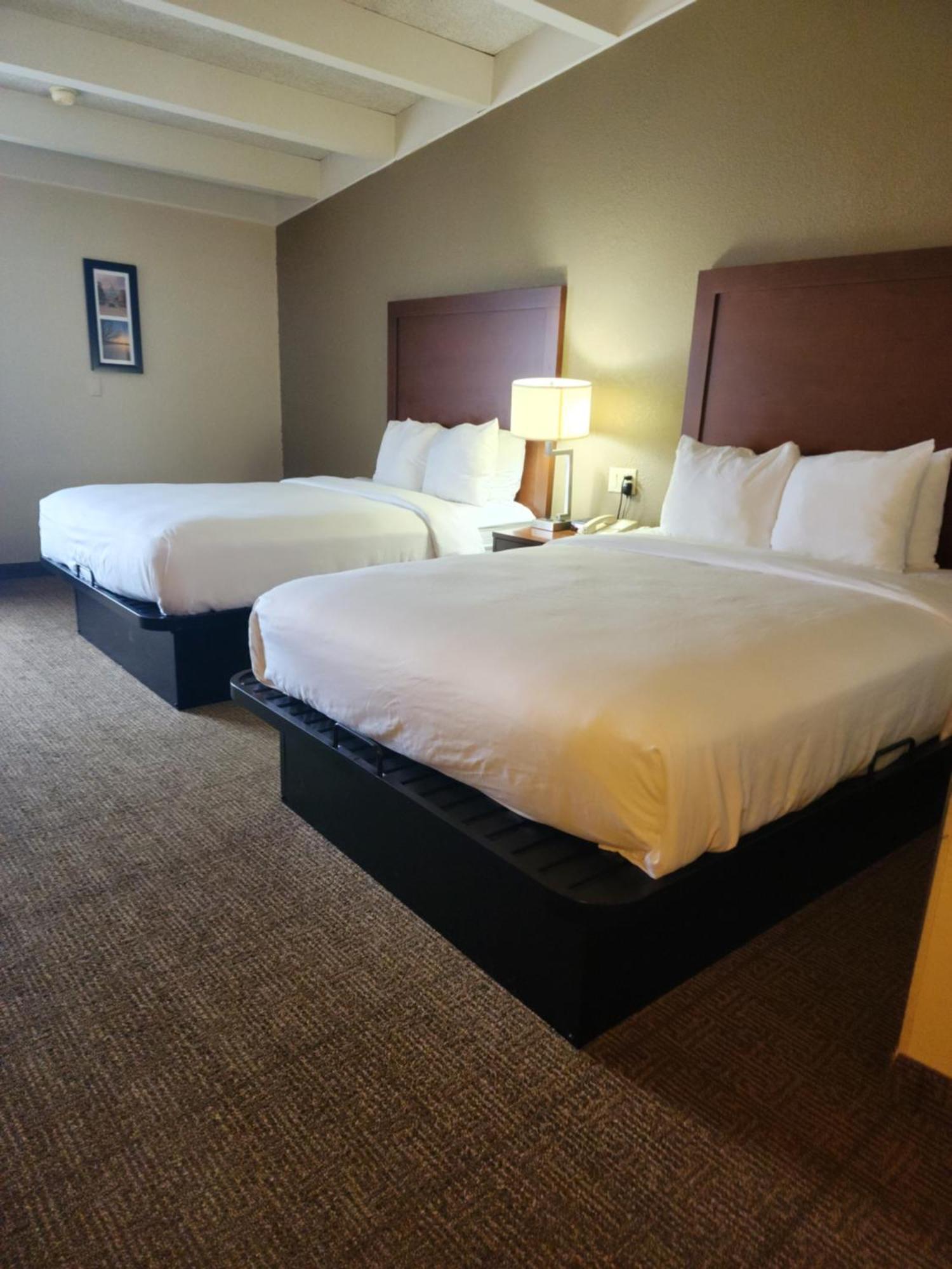Comfort Inn & Suites Madison - Airport Exteriör bild